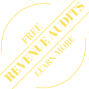 REVENUE AUDITS (1)